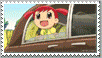 Animal Crossing