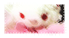 usakumya